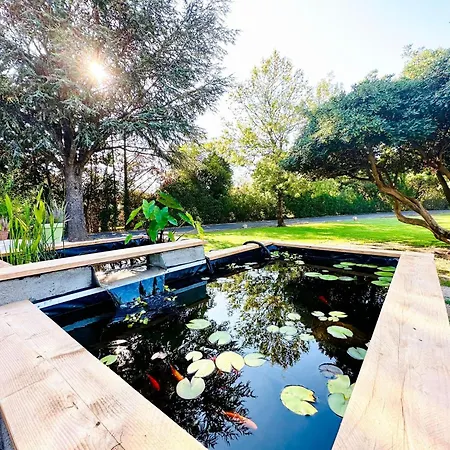 Apartamento Grand Studio Avec Piscine Et Spa *